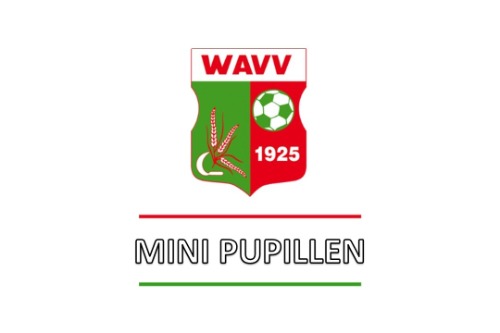 logo wavv mini pupillen